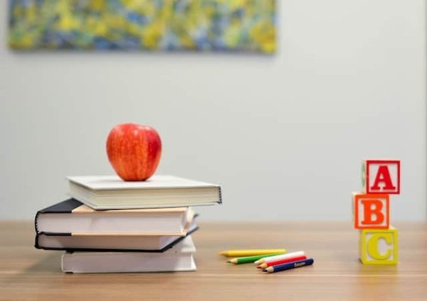 Comment accéder à des livres et des arts sans dépenser une fortune ?